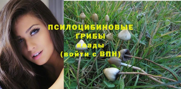 прущие крисы Алексеевка