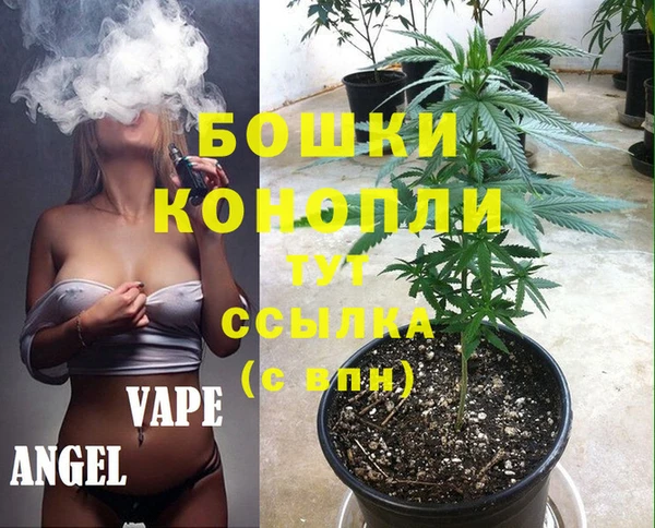 молекула духа Алзамай